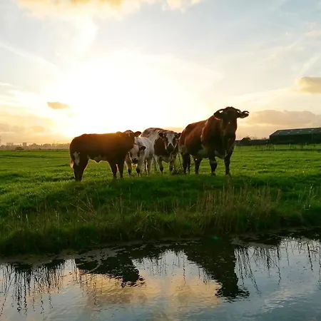 & Nature-amsterdam Nextdoor Free Parking 8 Person 2 Kitchens 3* Landsmeer